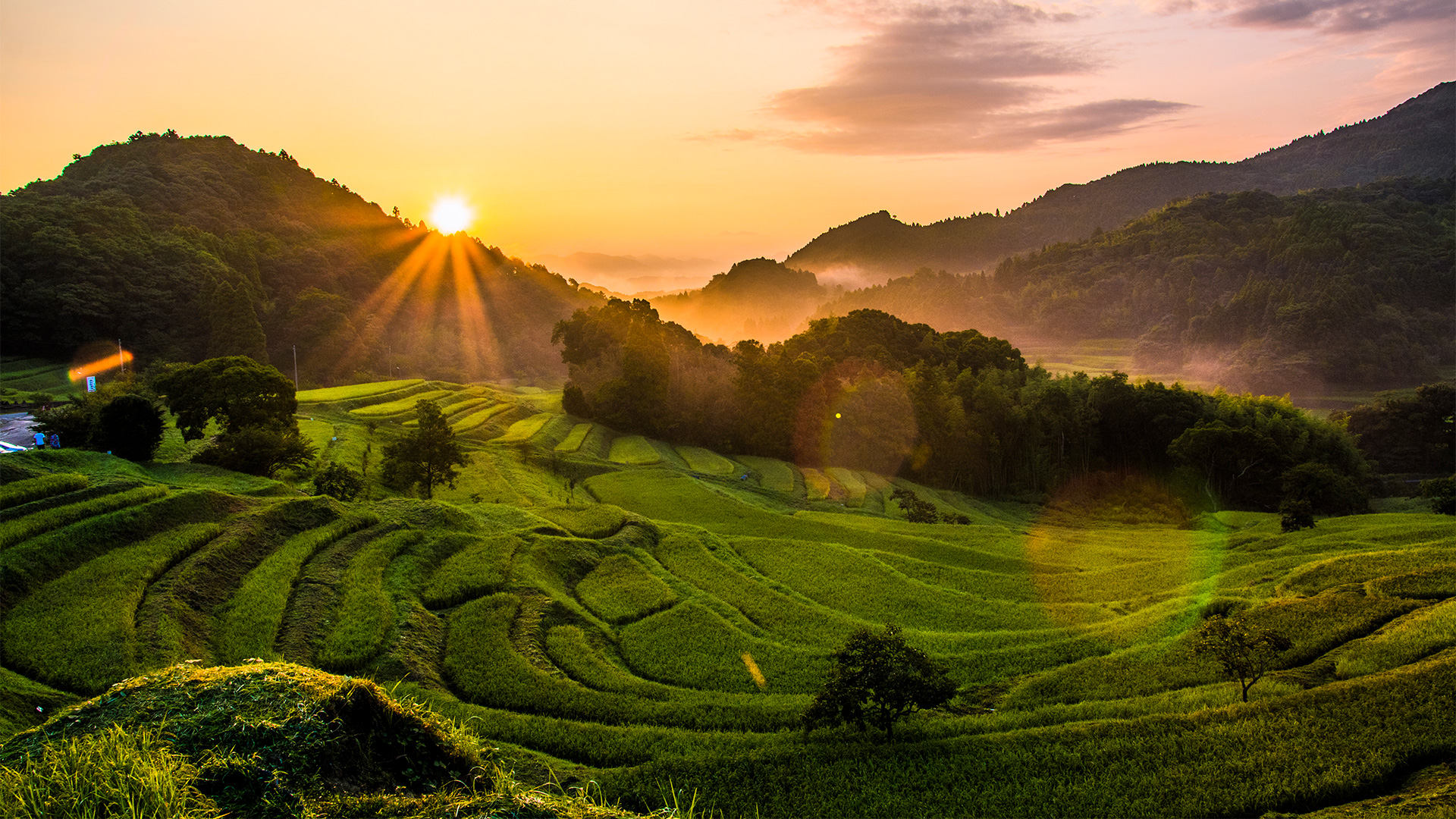 大山千枚田