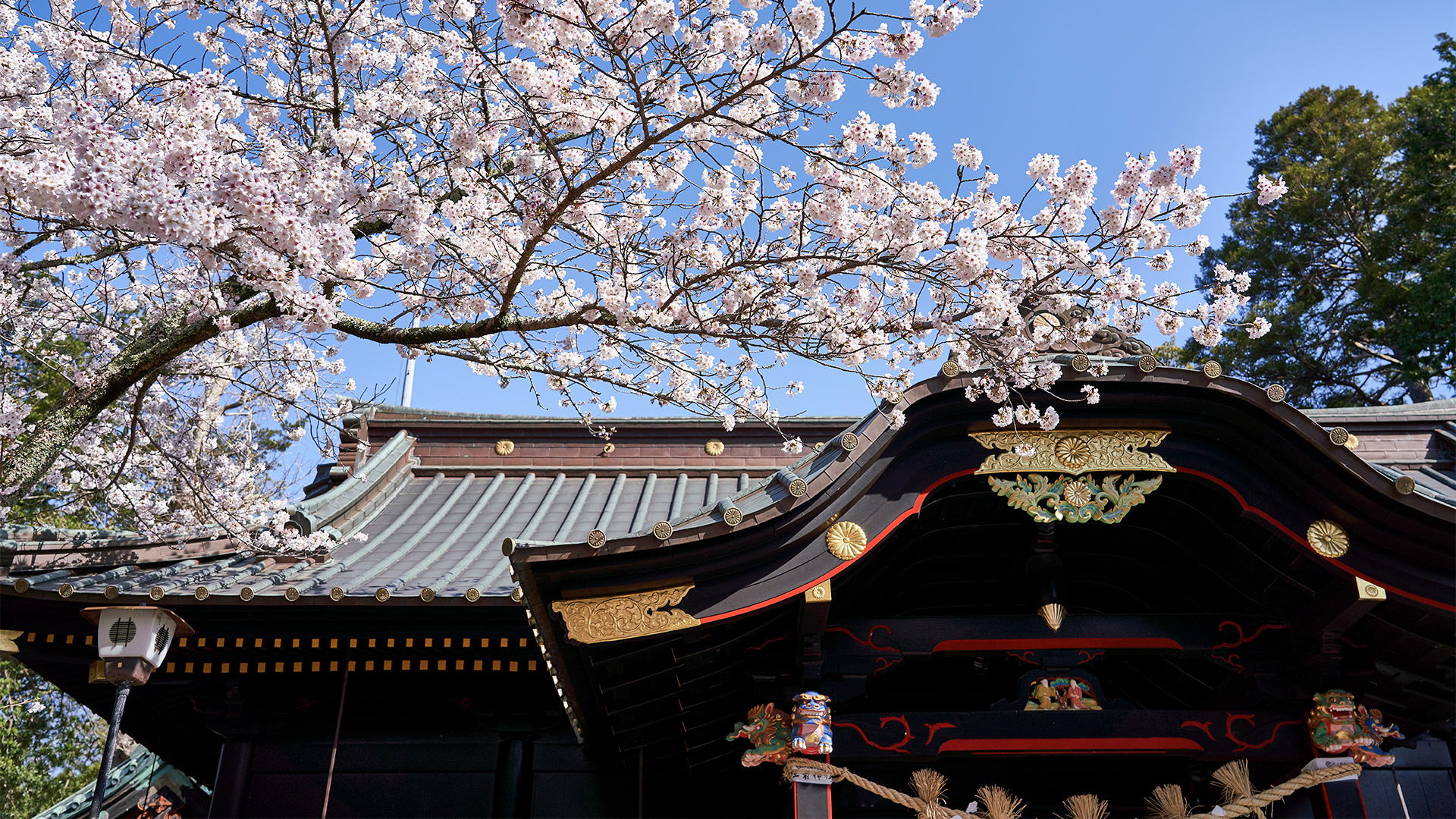玉前神社